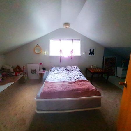 Willa Holkot Scenic Farm Húsavík Zewnętrze zdjęcie