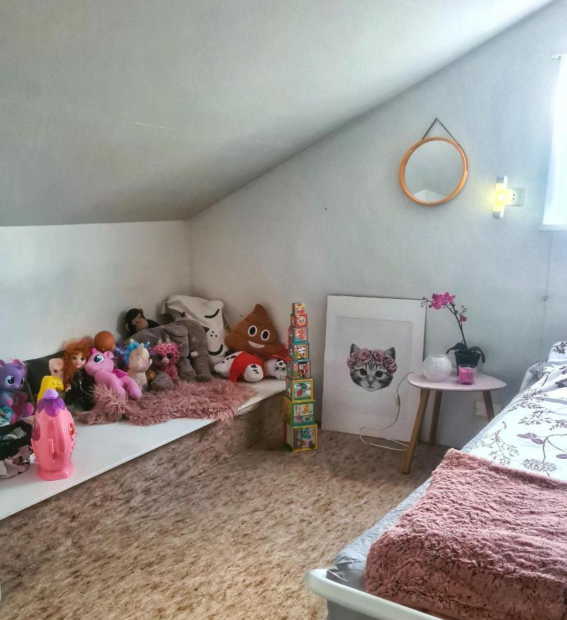 Willa Holkot Scenic Farm Húsavík Zewnętrze zdjęcie